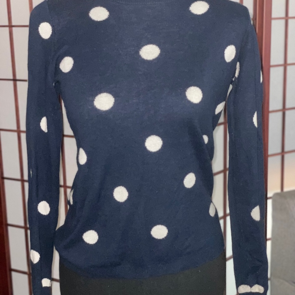 Pre Loved Ann Taylor XSP Navy Blue Polka dot crew neck sweater